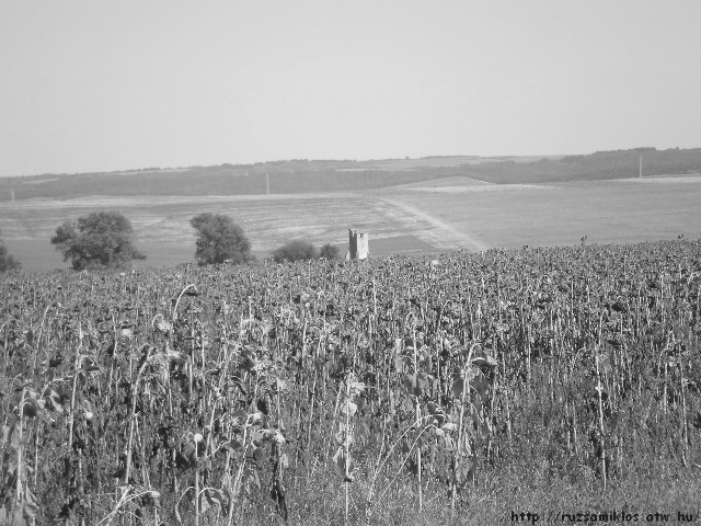 1bw
