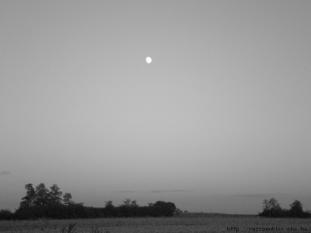 6bw