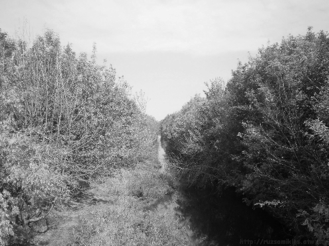 7bw