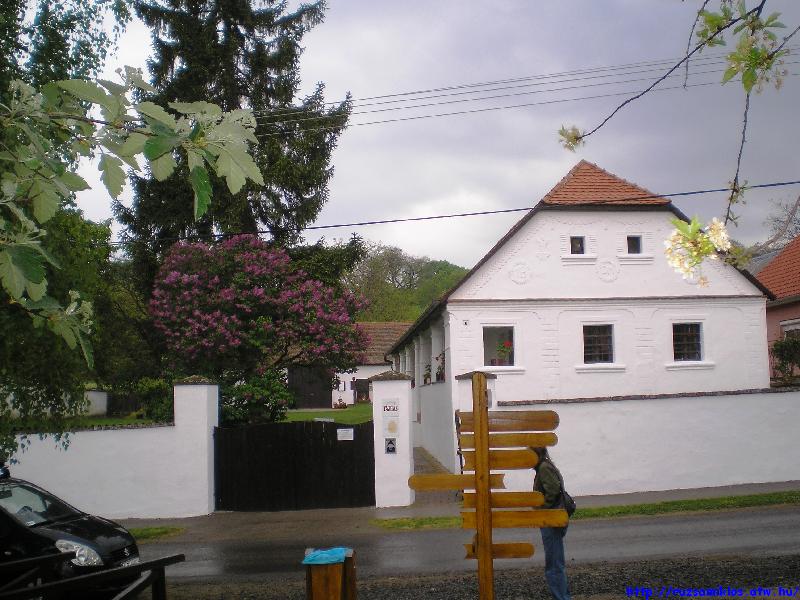vissza