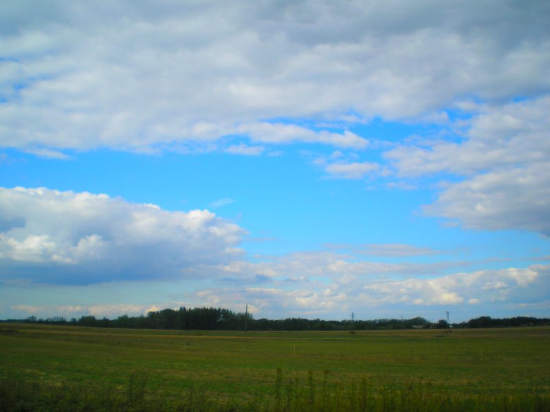 vissza