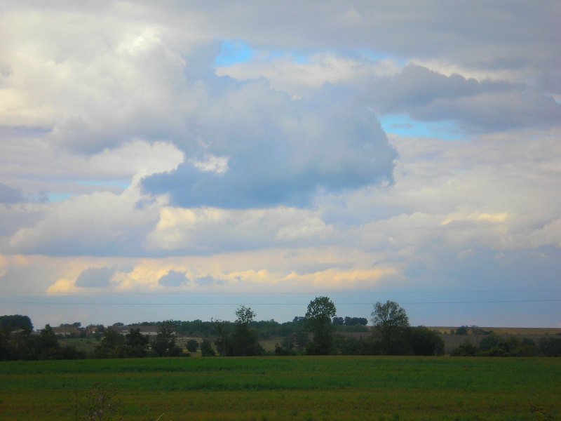 vissza