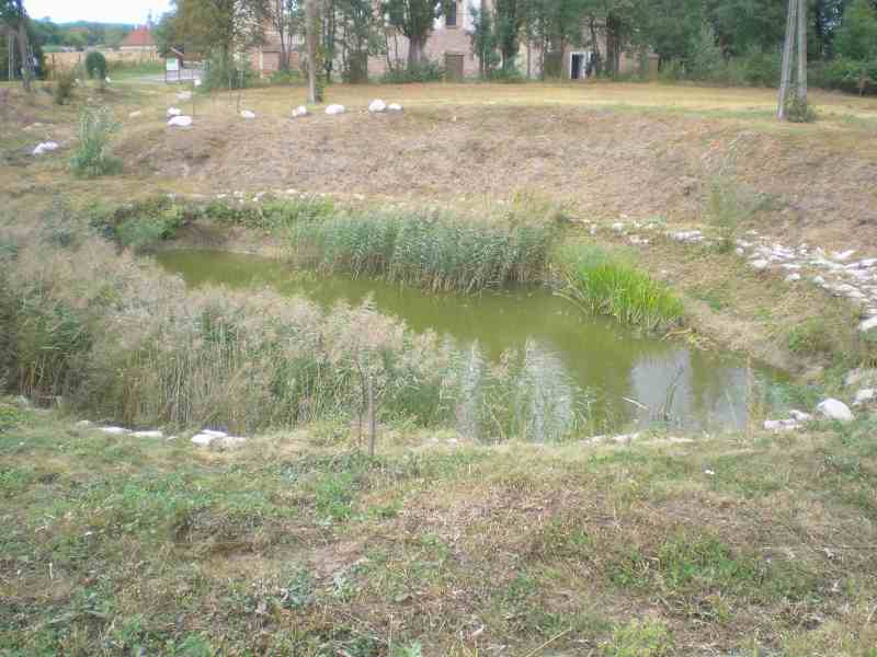 vissza