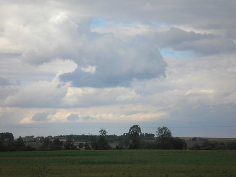 vissza
