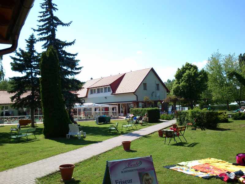 vissza