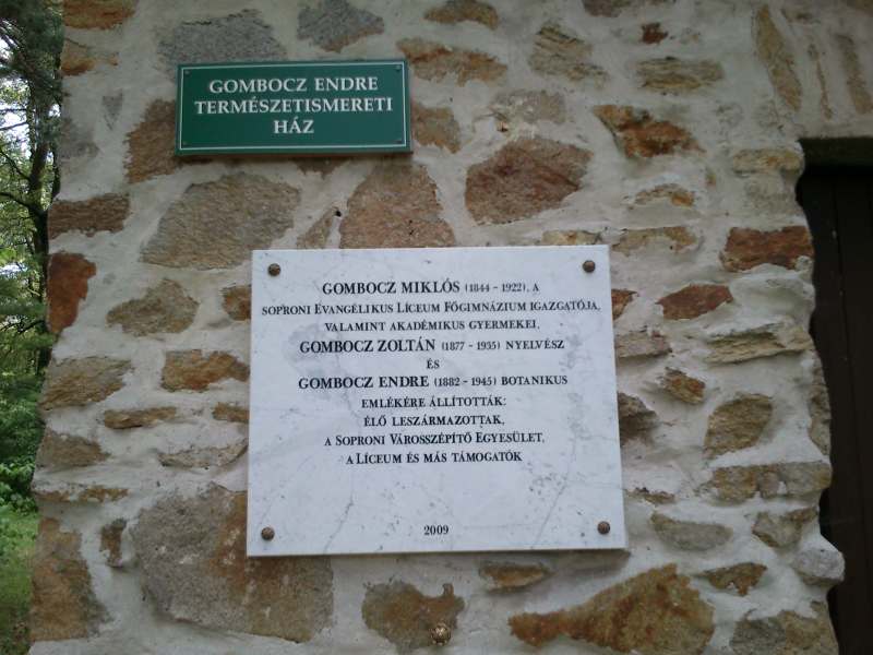 vissza