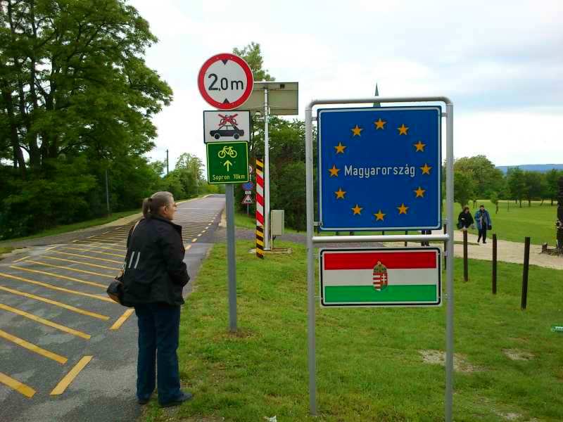 vissza