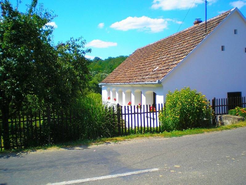 vissza