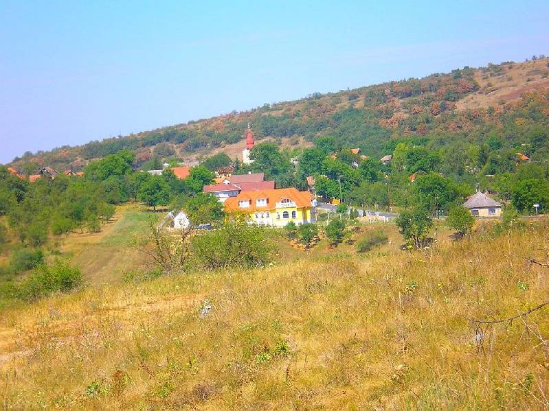 vissza