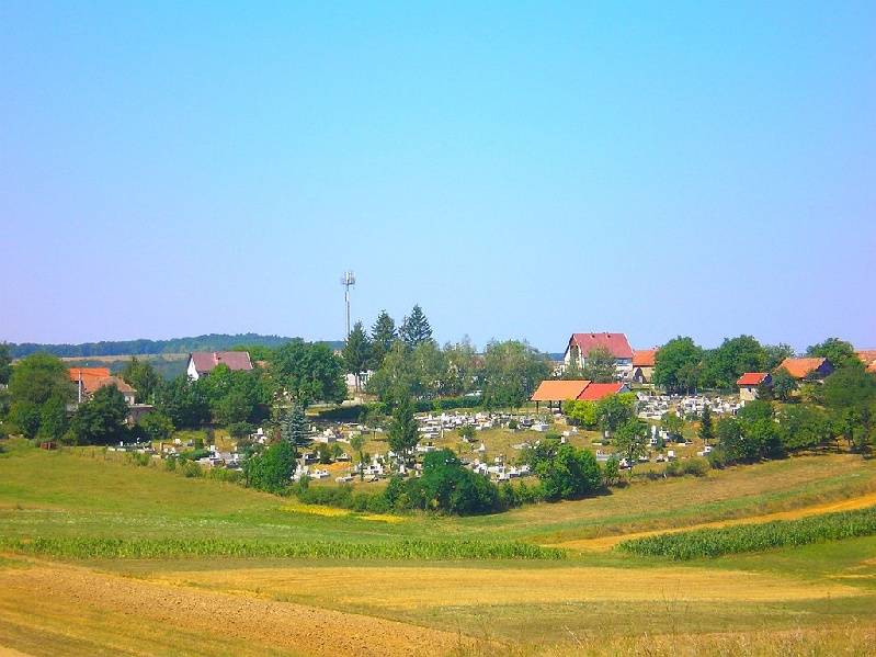 vissza