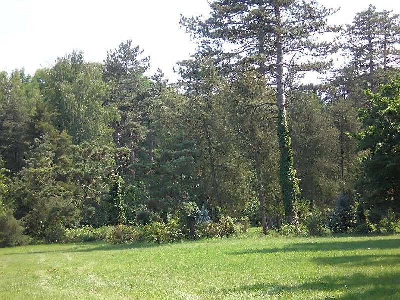 vissza