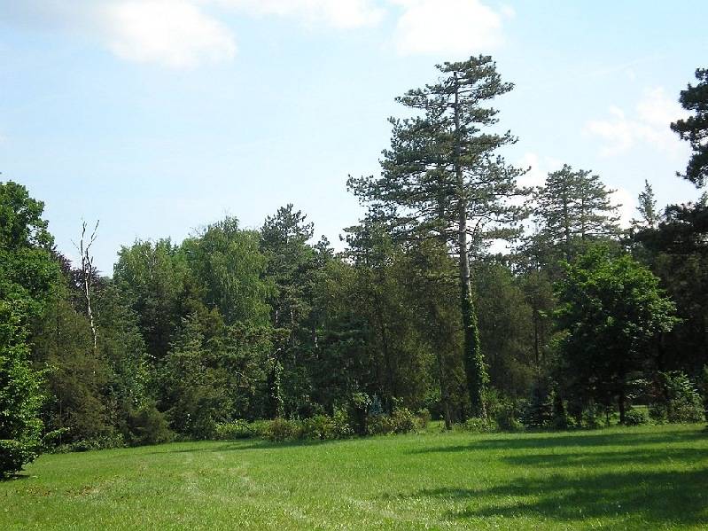 vissza