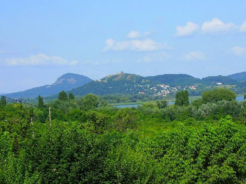 vissza