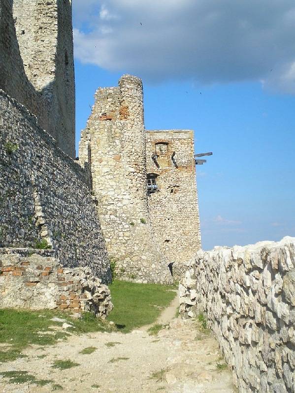 vissza