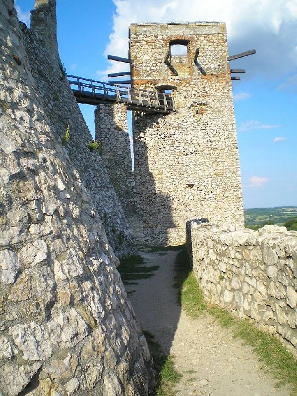vissza