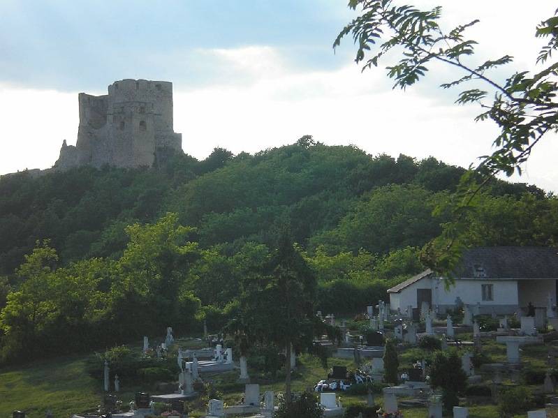 vissza