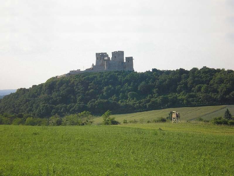 vissza