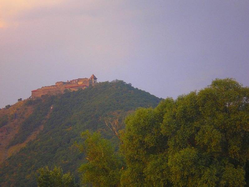 vissza