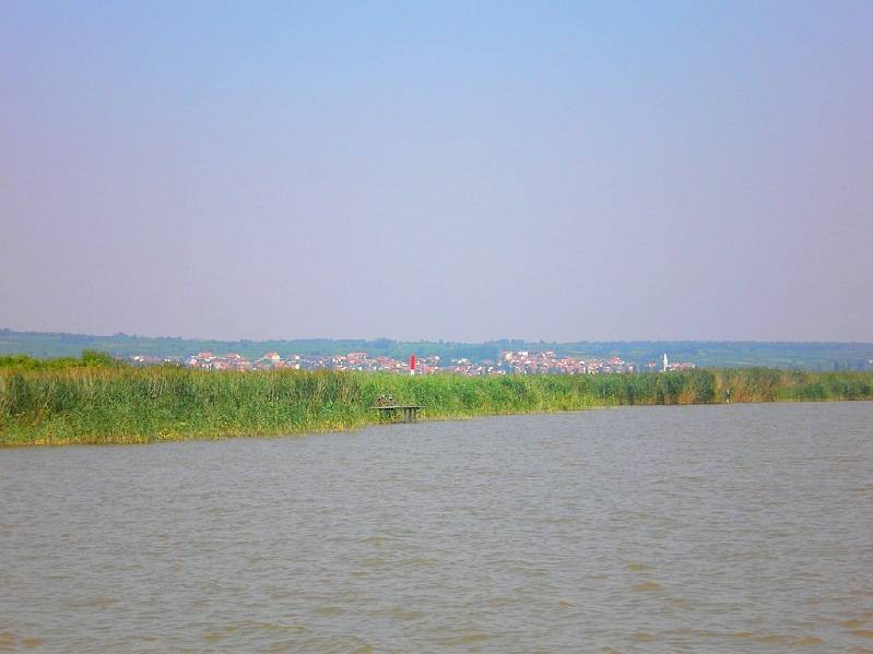 vissza