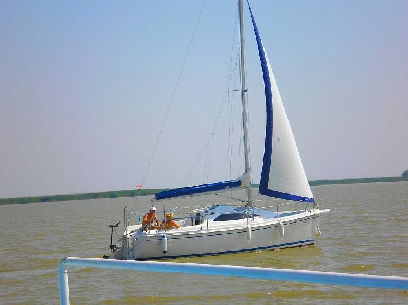 vissza