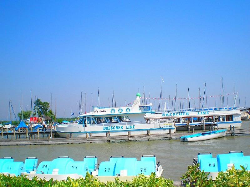 vissza