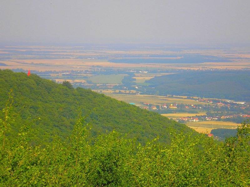 vissza