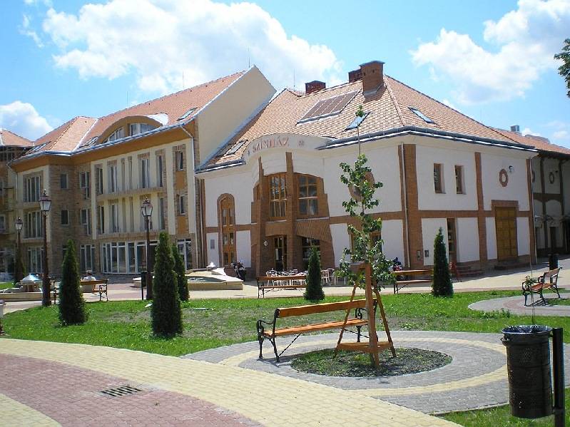 vissza