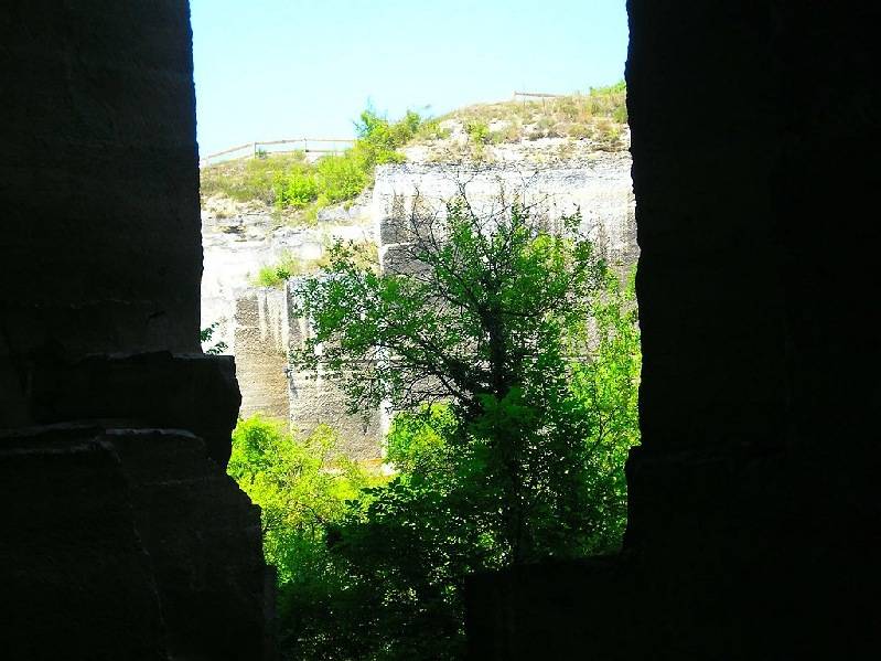 vissza