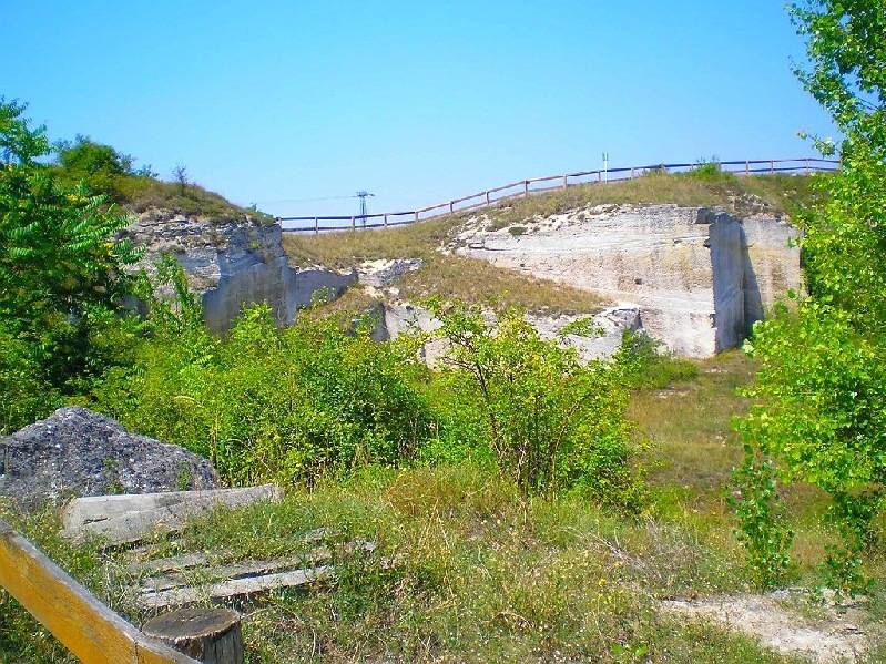 vissza