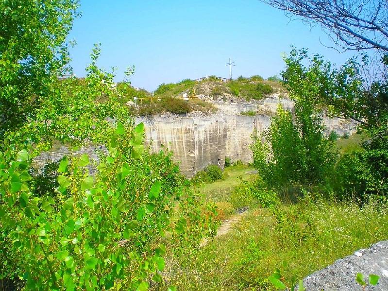 vissza