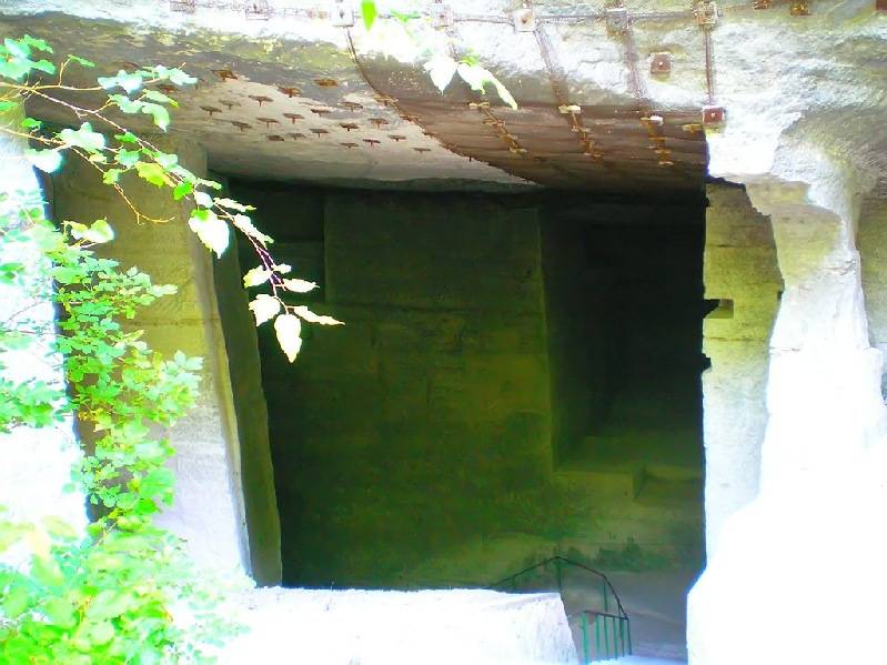 vissza