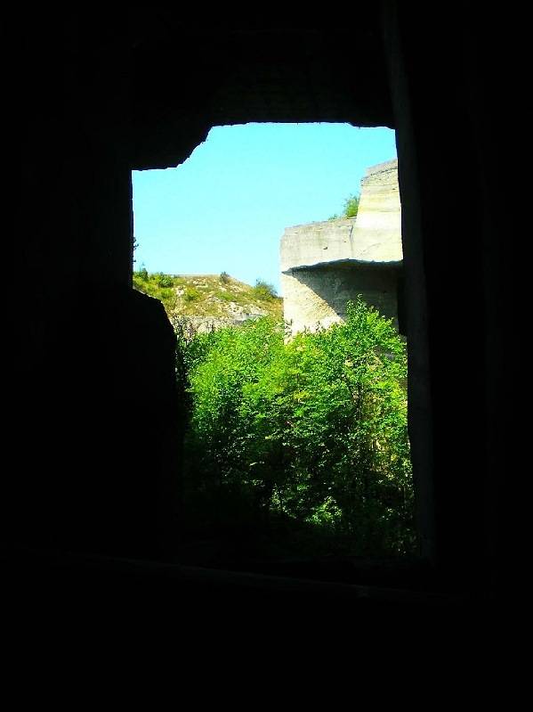 vissza