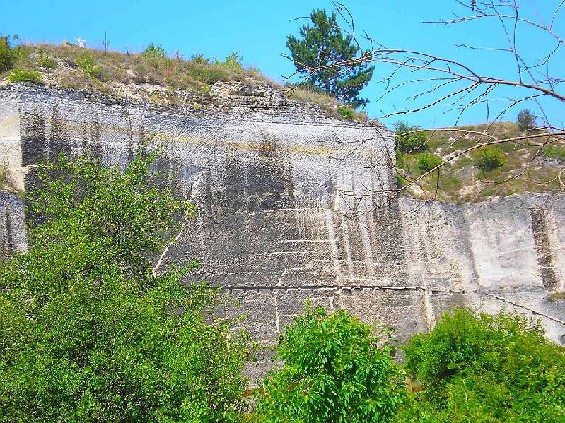 vissza