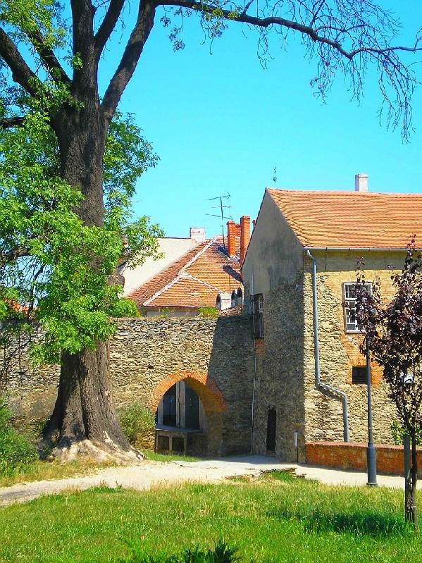 vissza