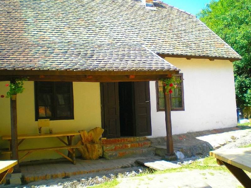 vissza