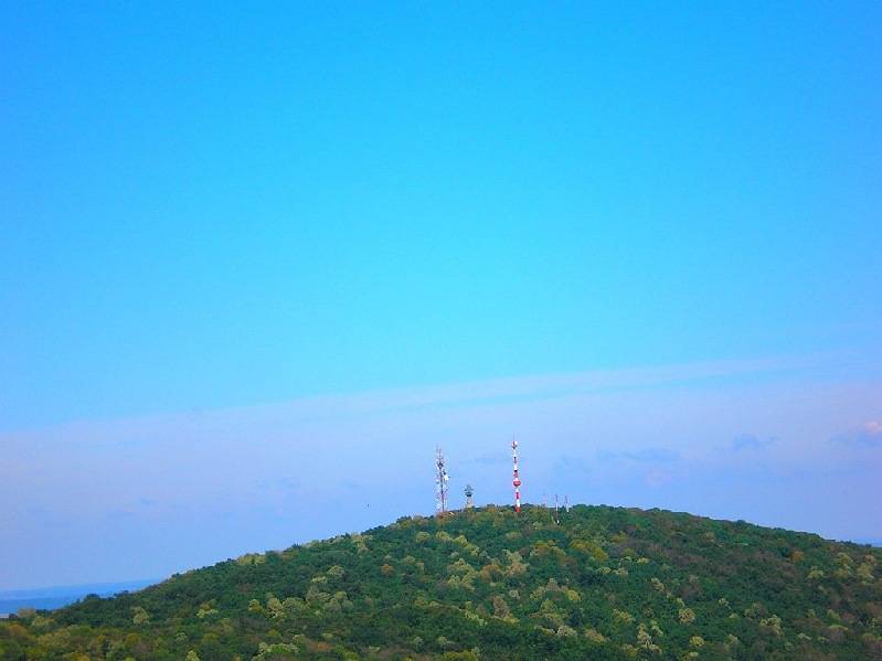 vissza