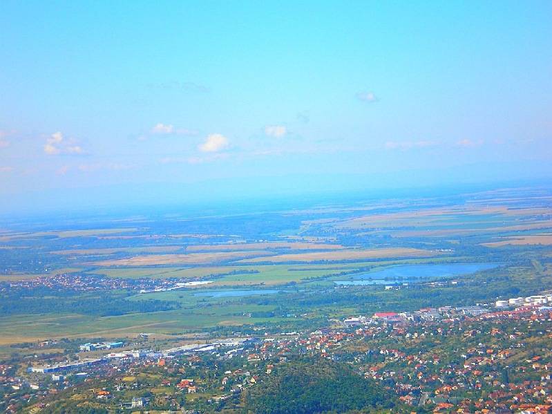 vissza