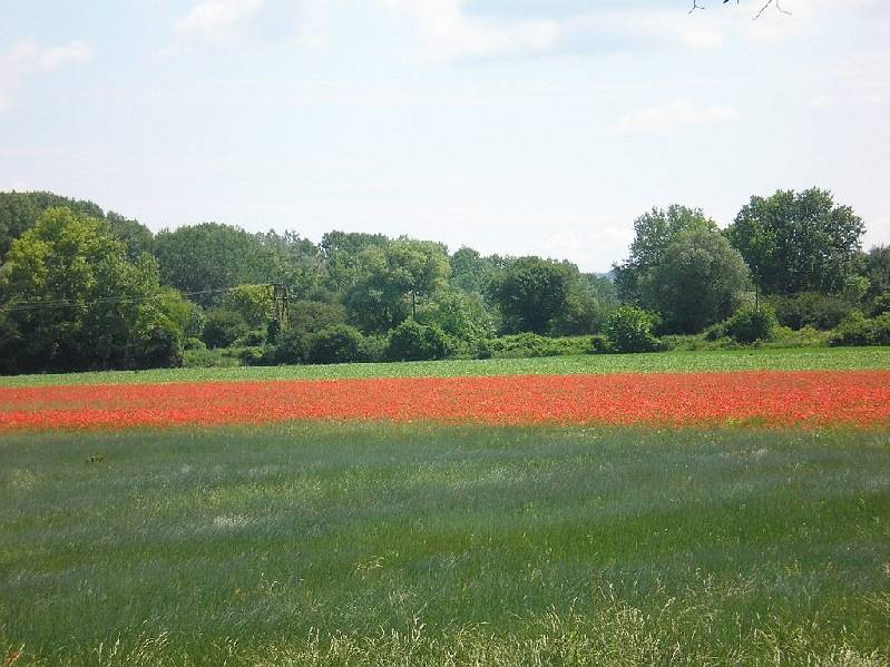 vissza