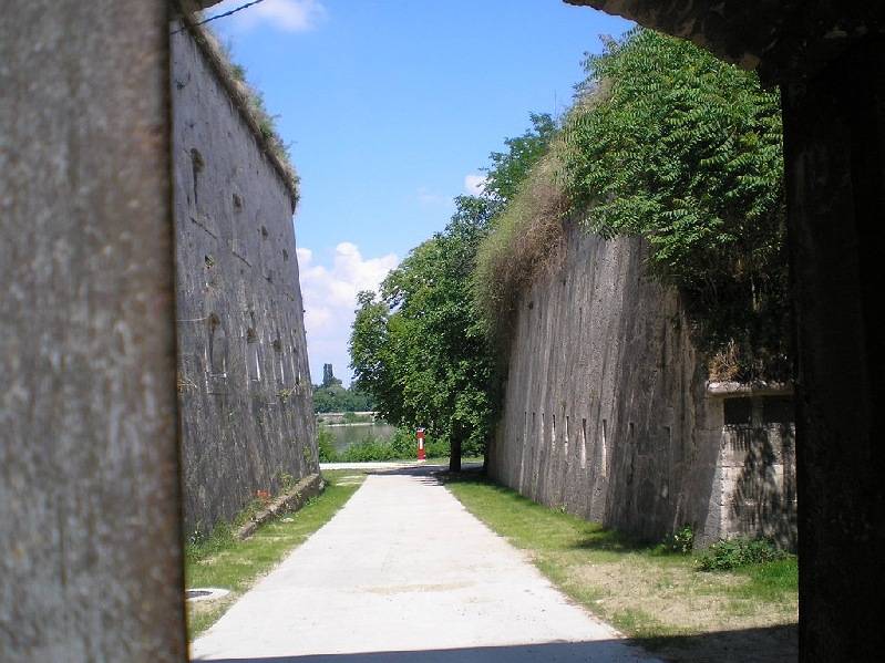 vissza