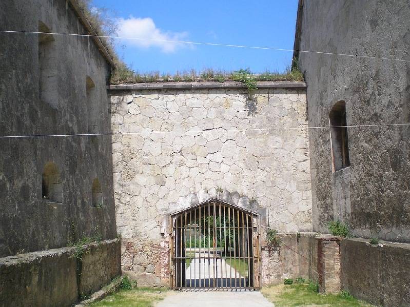 vissza