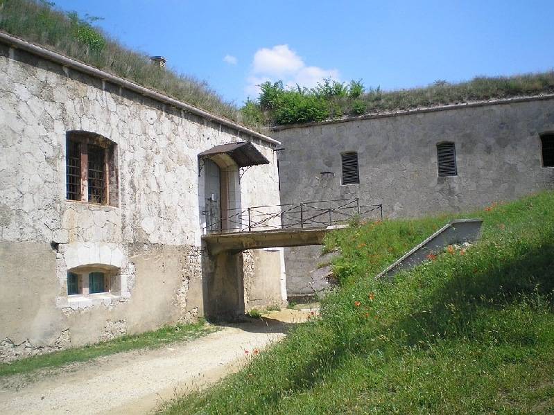 vissza