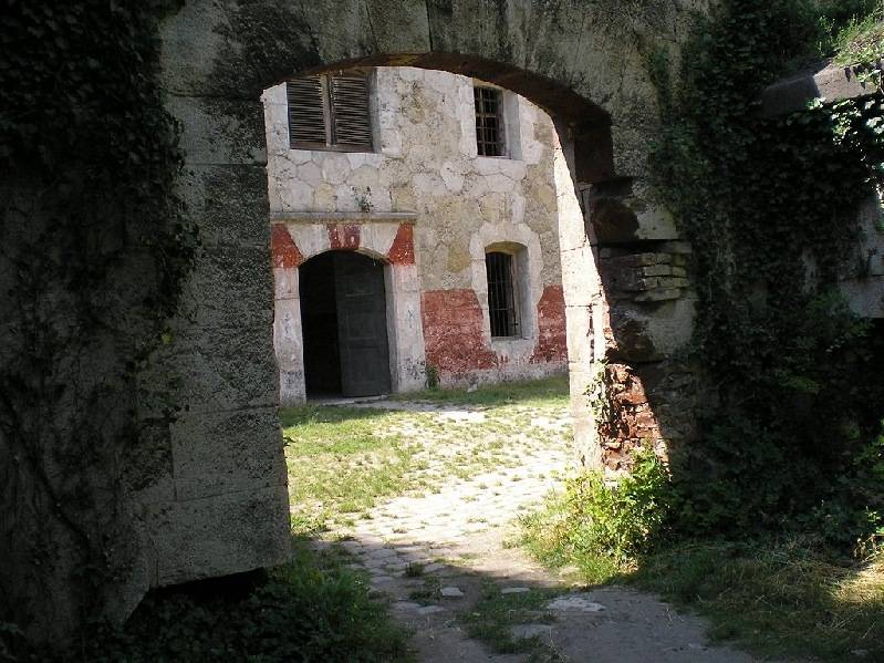 vissza