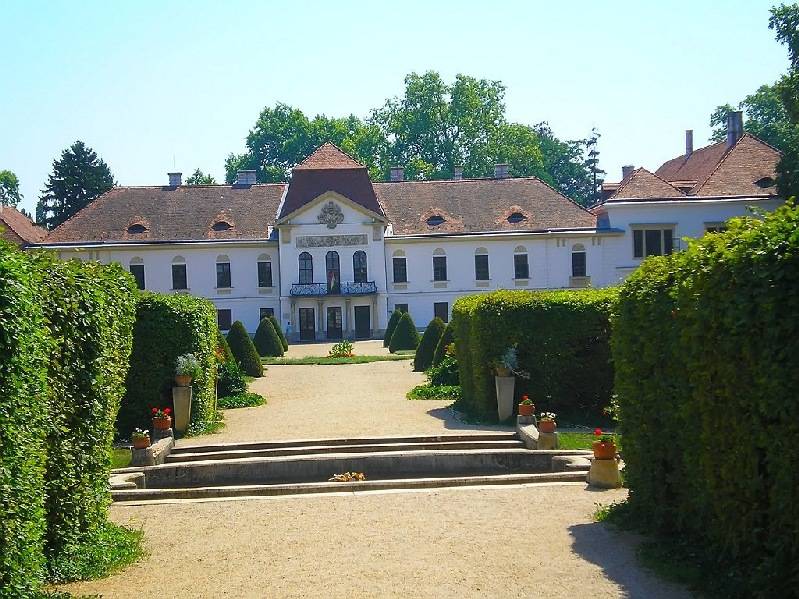 vissza