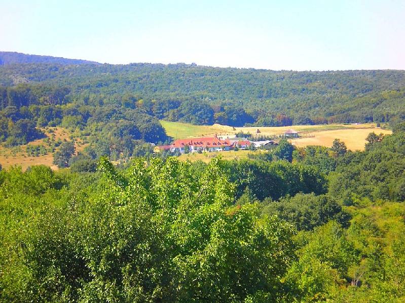 vissza