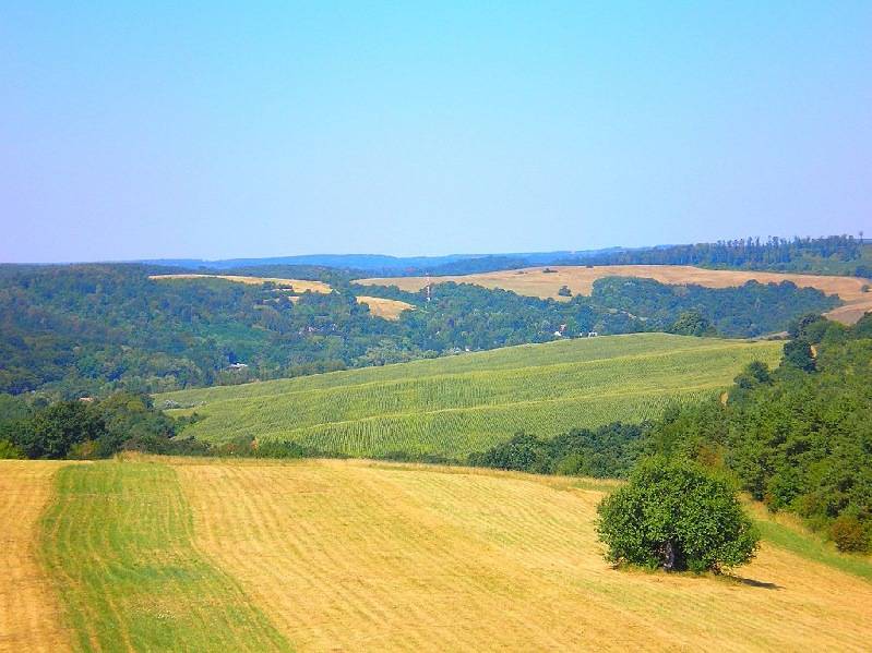 vissza