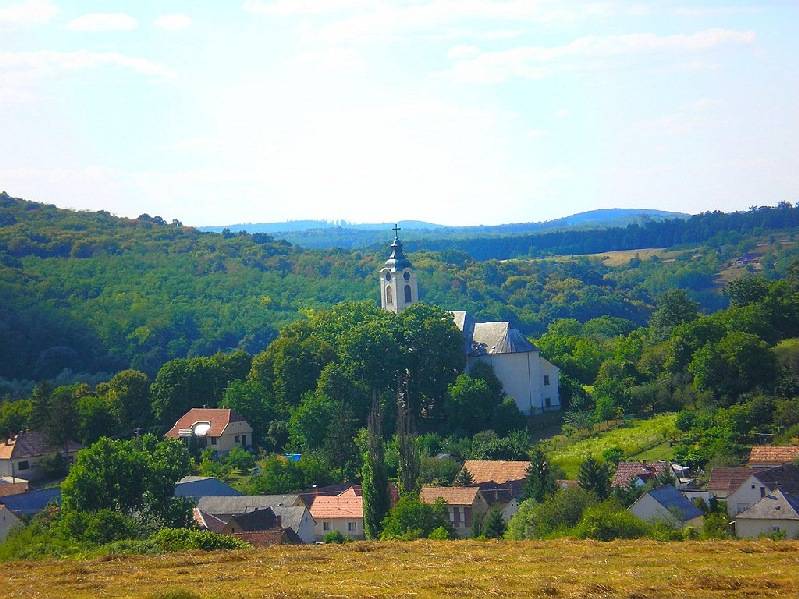 vissza