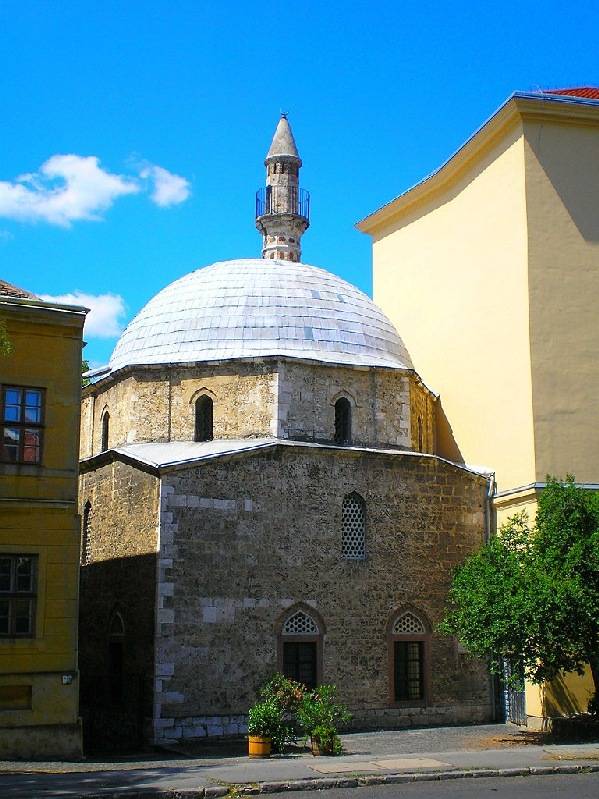 vissza