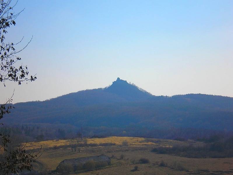 vissza