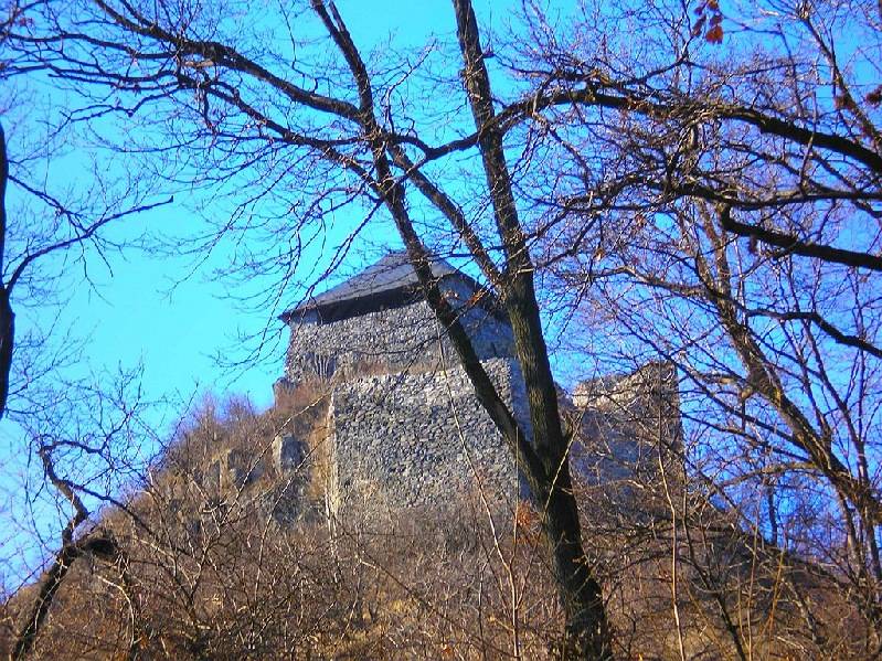 vissza