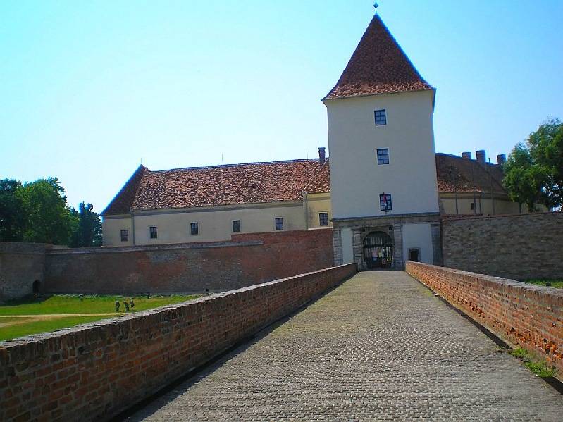 vissza